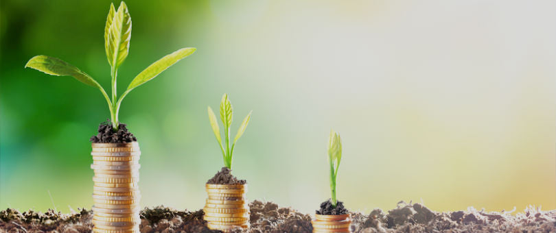 La importancia de la economía financiera para el emprendedor