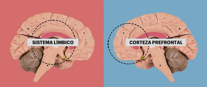 Cómo dejar de procrastinar para ser más productivo en el trabajo