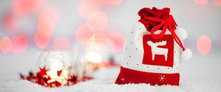 ¡Les deseamos unas felices fiestas!
